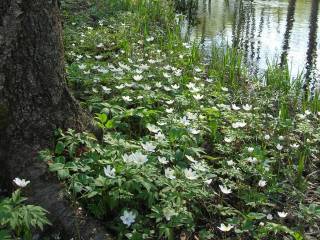 Portaan Nahkurinverstas lahjakortit